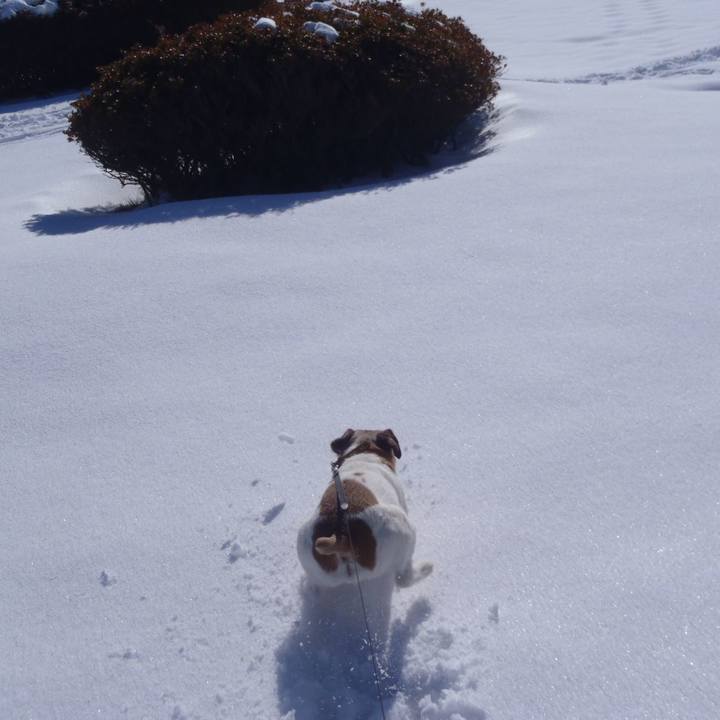 B6521994 0daf 4891 8cb2 46a3adb671bf 1515920483250