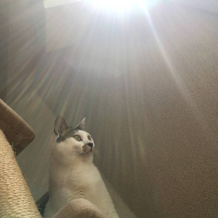 B6522227 701d 4bd2 921f 47e96d2aedc7 1526086702518