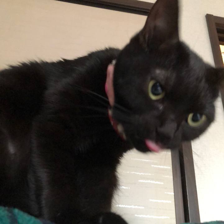 B65254fe 841b 497d aab0 fe48fe9790fd 1575516449075