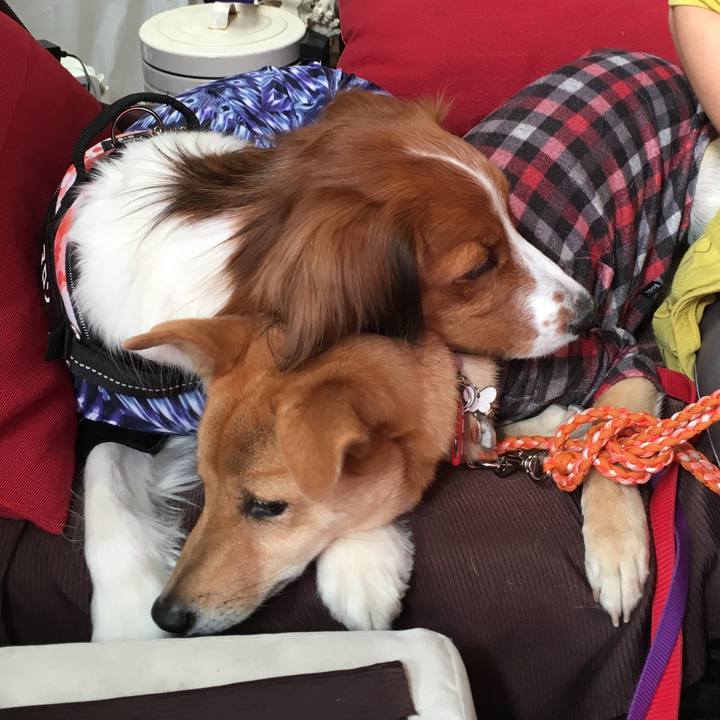 B65258d8 a7d3 4931 b1ad e10d94cbe510 1541158536949