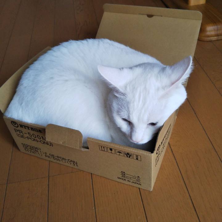 B65259b9 827c 4ba2 a532 843f799e8ab5 1533344384673