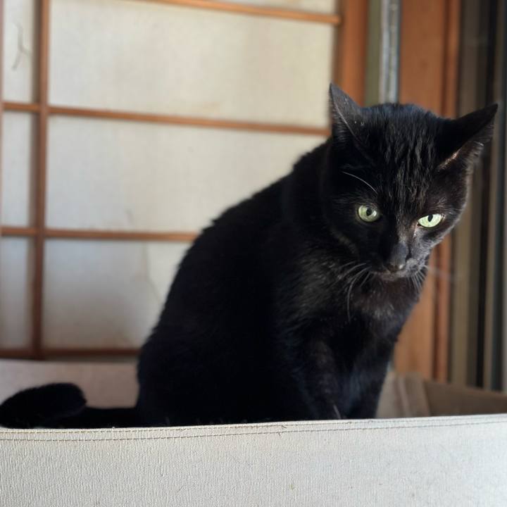 B6526efd ad58 4bb0 b065 3b5b8d475270 1666317738303