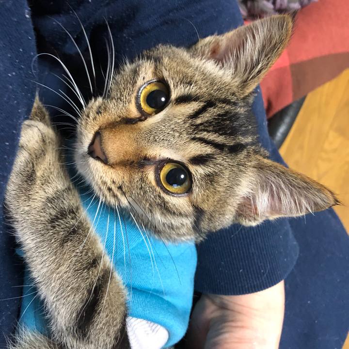 B6527918 aaa7 48ae be36 a55183418cfc 1731838552725