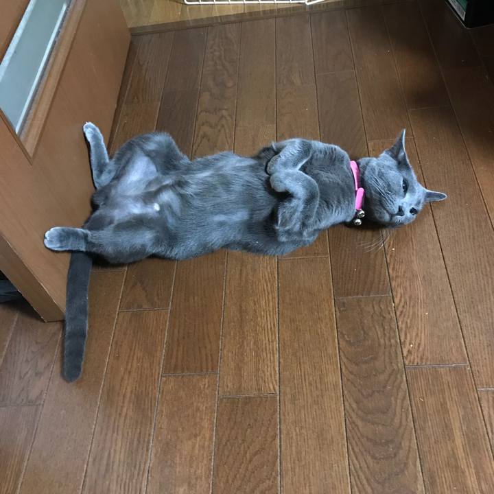 B652ac88 03e7 406c a322 6ce945fcf5f0 1530186394595