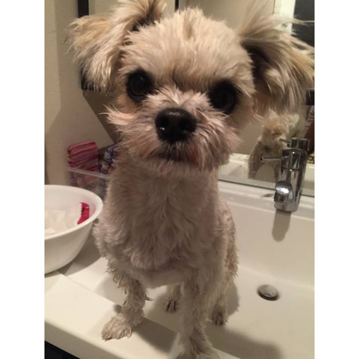 B652ae4d ed85 4435 a0cd 2e4c5b7f4393 1518432958261