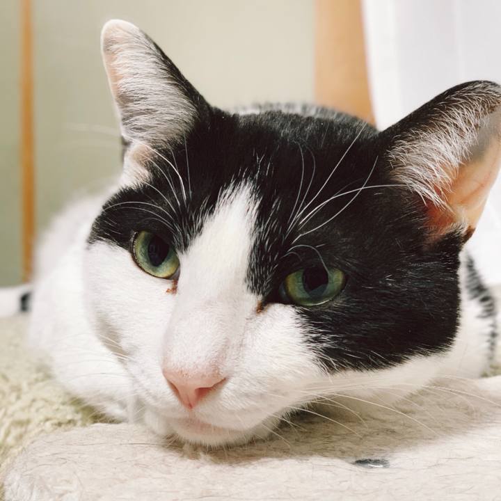 B652be4c 0d02 4ffb 947a e6111cf10369 1555984365801