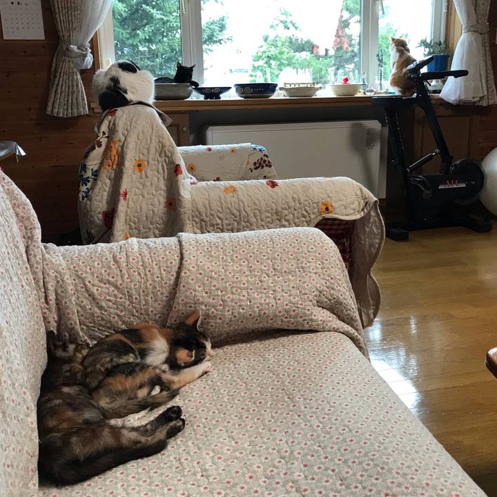 B652de09 f5f5 4bbf 952e 1509dd856044 1597391867839