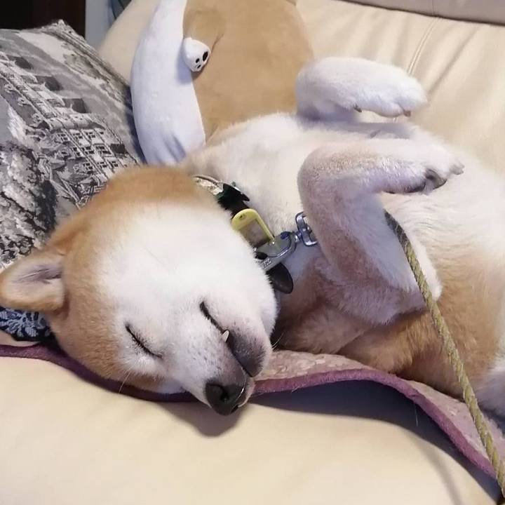 B653431c 6490 4b53 9425 05a06072cfe3 1625808360133