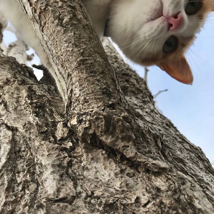 B6535ed0 faa6 47cc 8891 eae1947d3cf8 1517735015154