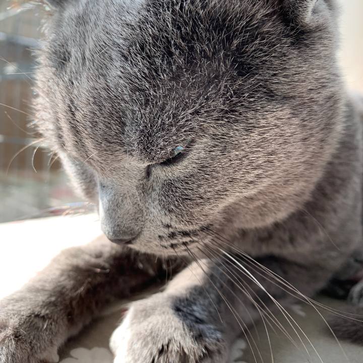 B6536ffa 2698 414a 880f ccf701188d12 1550307825599