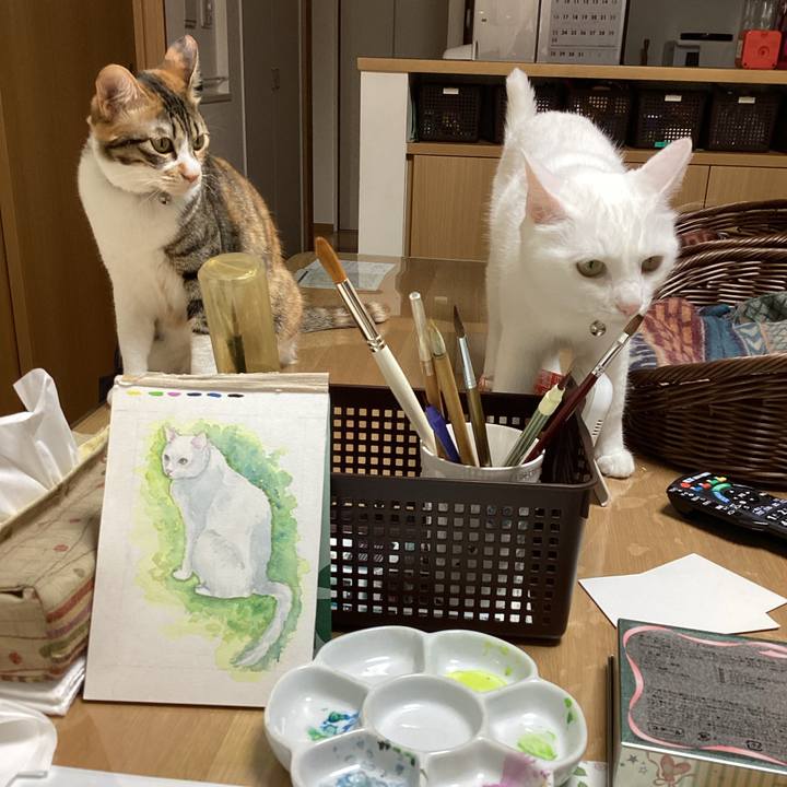 B653b59d 8bd9 4d00 8a7d 97650a9facc2 1682061389892