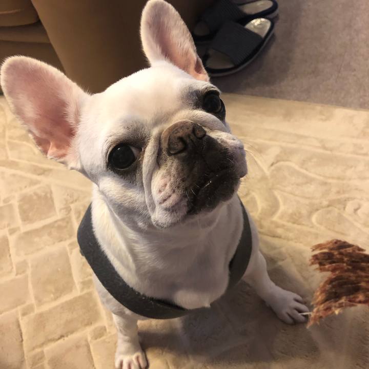 B653be5d a8ed 4f7c 9da4 2faf780c285c 1569654172880