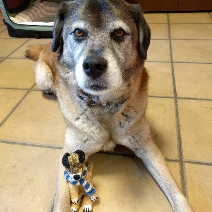 B653c71f cf85 4796 b80d 7393794b7a96 1520492530530