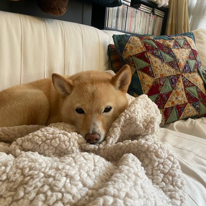 B65413af ab48 4289 846d f1a378cffb11 1667348881998