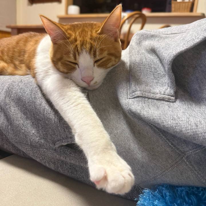 B65419ec e320 4508 b73c 7b2b0d2b0824 1770814921562