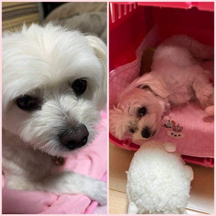 B6544b1b 7dac 4621 93ff 1c32f7430a9a 1724759393901