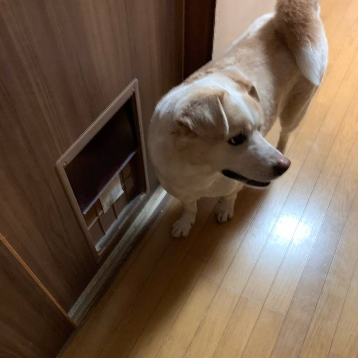 B65450c2 383a 47e2 89e4 92a52f26c340 1584369273568