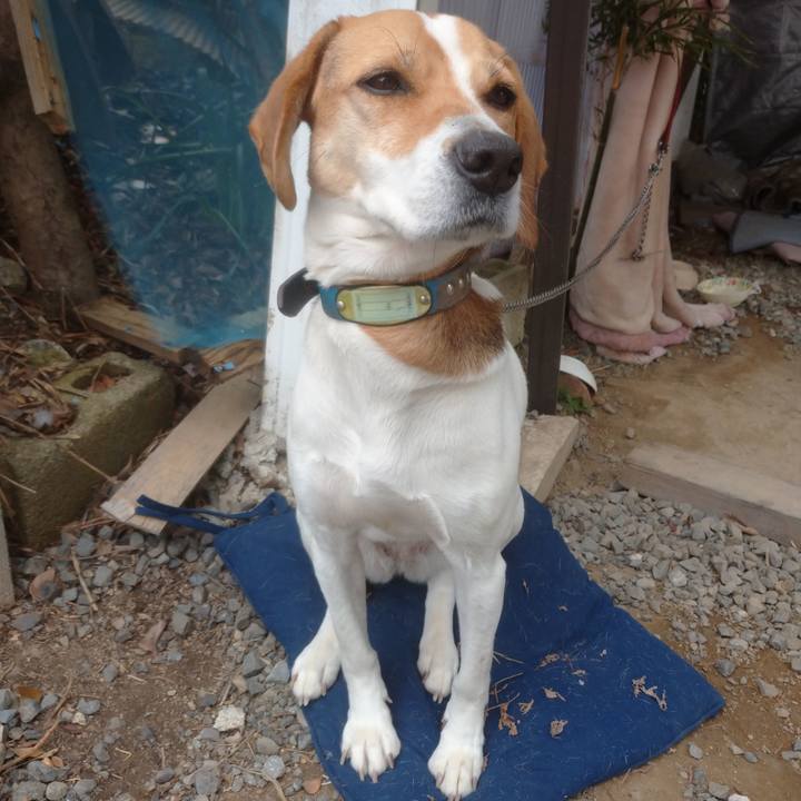 B6546203 f9b2 466b 9e7d bb9132b5b824 1612157019678