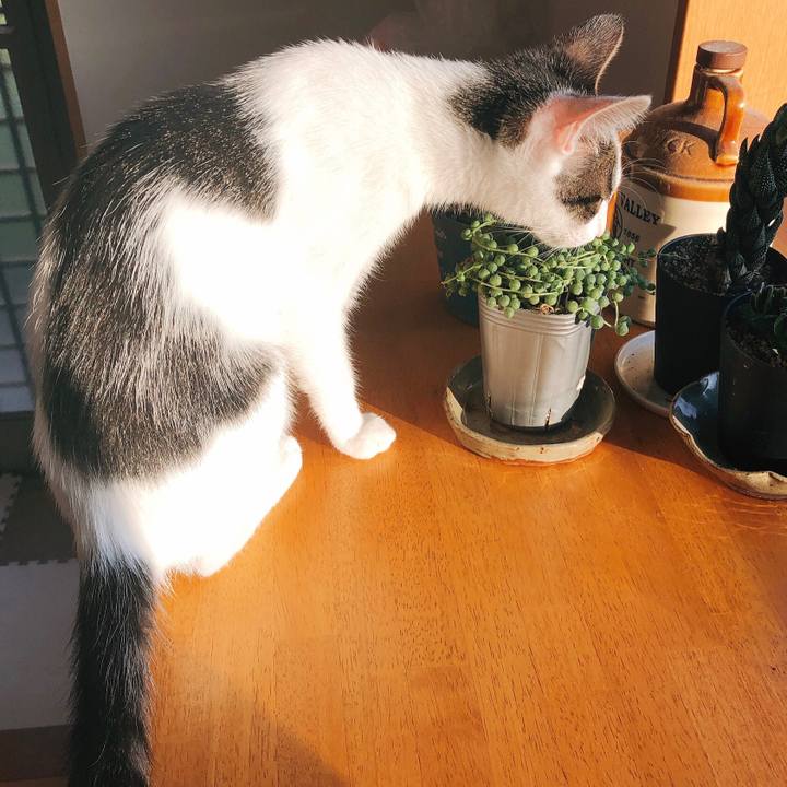 B654ca2d ce28 427f 89b2 85b1533b8451 1570145247411