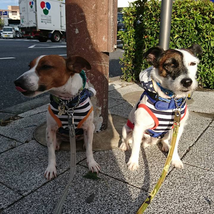 B654e54e 5416 4432 b875 3d62736351fd 1569275349722