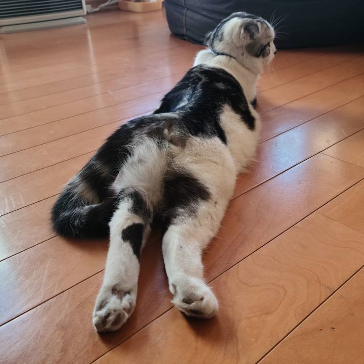 B654f17e 0c87 4402 8914 3a4ae00e2eea 1647231093725