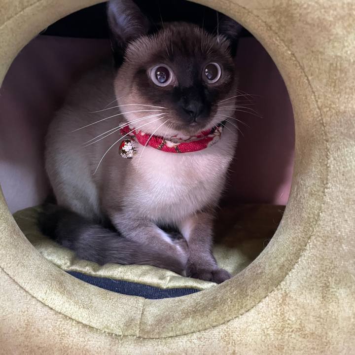 B6553211 0fb8 43a1 893b 8e399517daeb 1707938950799