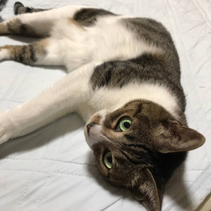 B655381b 41a3 4659 8db3 d21b4f1e8886 1536282740234