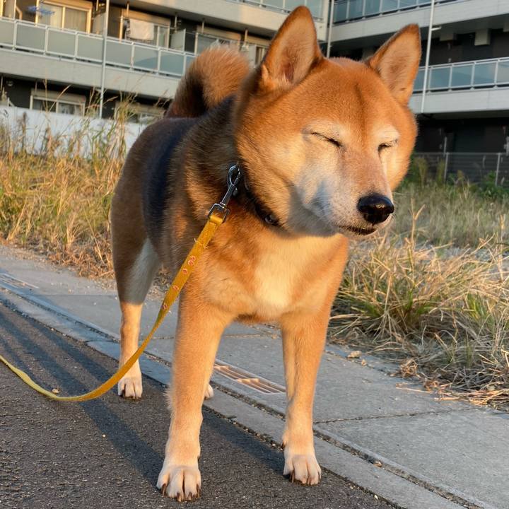 B6554b47 0e9c 4980 85cf b6280e912b4b 1636191734618