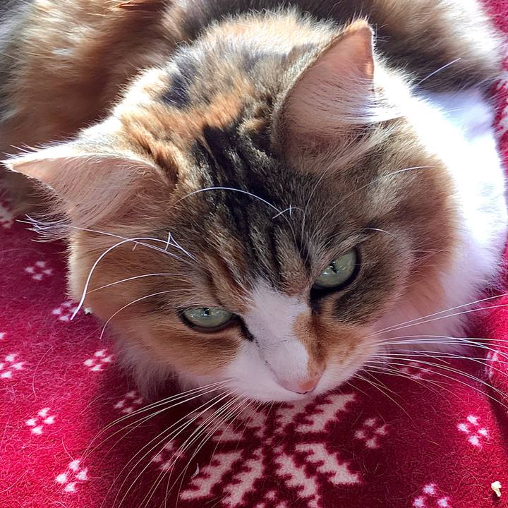 B655558f c02c 4dff a4cf 7df373b8db8b 1578474005085