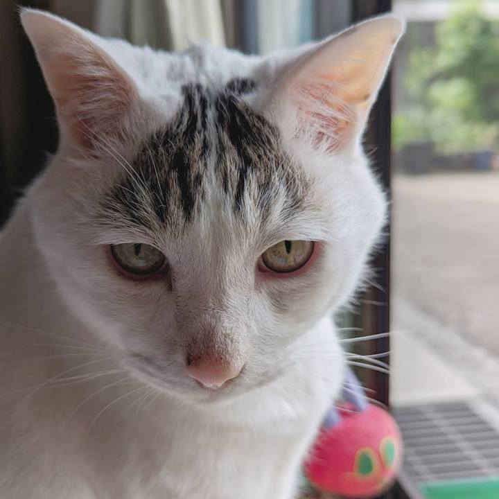 B65574e1 563d 45b7 b387 dbcdacad8953 1714434170476