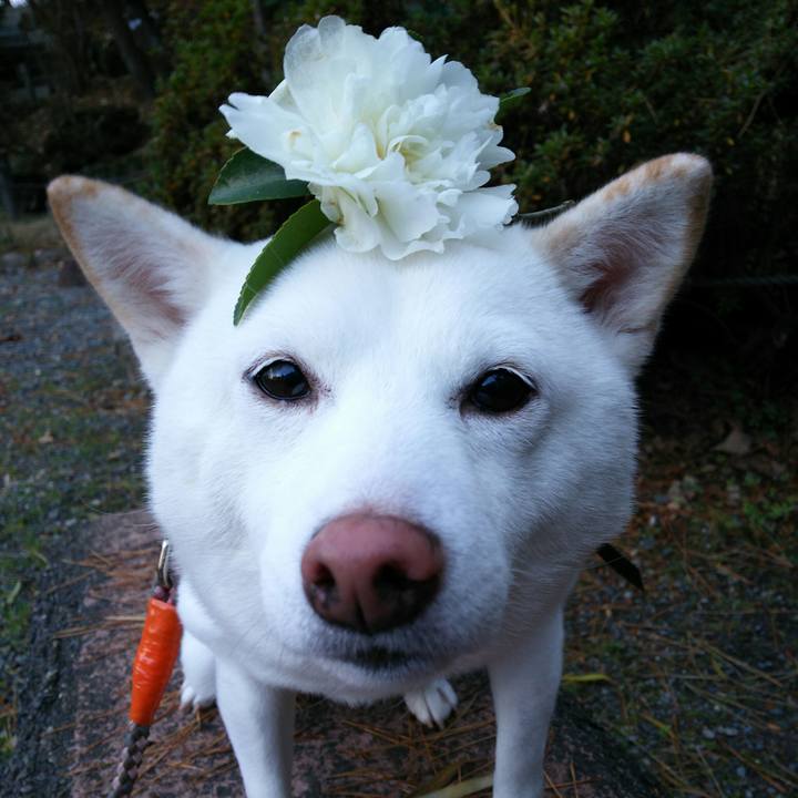 B6558891 6483 4798 9af3 b48795e7168c 1546067502273