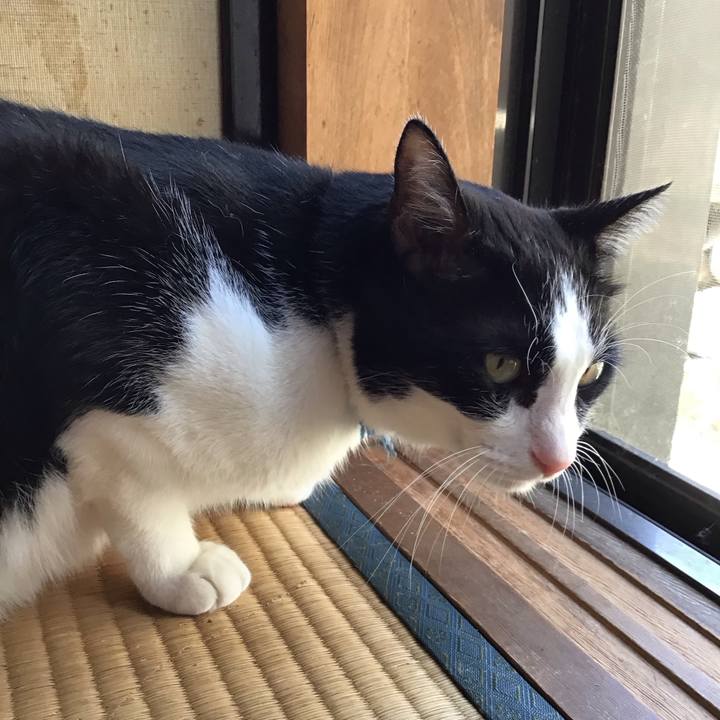 B6559409 876e 4f67 af3e d56badeb94e9 1756536563550