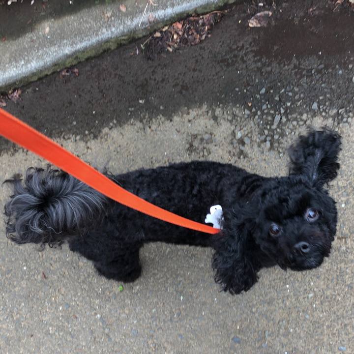 B655a75f b2b3 4d02 b023 7be1febf9a0f 1535415991487