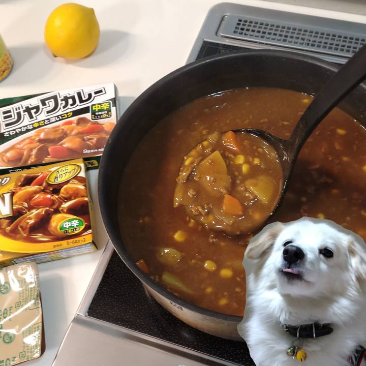 B655bdfd 9e05 46a2 afd2 22e3f52645da 1642932552260