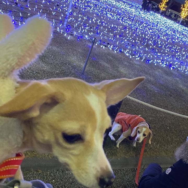 B655ce9b 0ce2 4e2f b8a3 3061b8c25d17 1672656234298