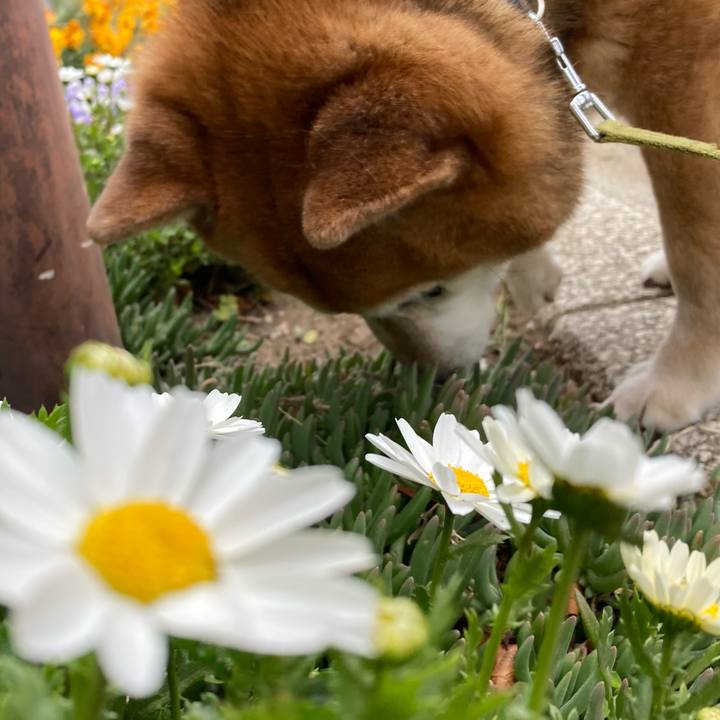 B655dad4 f99d 40ba bd09 8ae2fa091c98 1711272635739