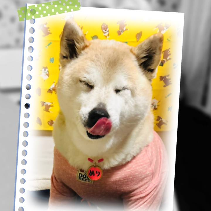 B65616f6 faae 45fe 8f86 01fe3825b92a 1747868490929