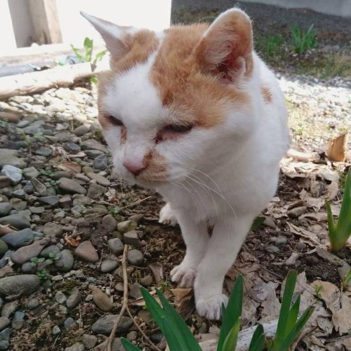 B6561c6a 1ae4 42d4 a5f2 d91f6fdd10c5 1587267326936