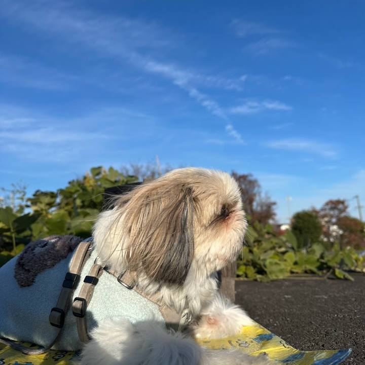 B6563bb8 c151 4ea2 a715 37297b2ed7af 1764066598971