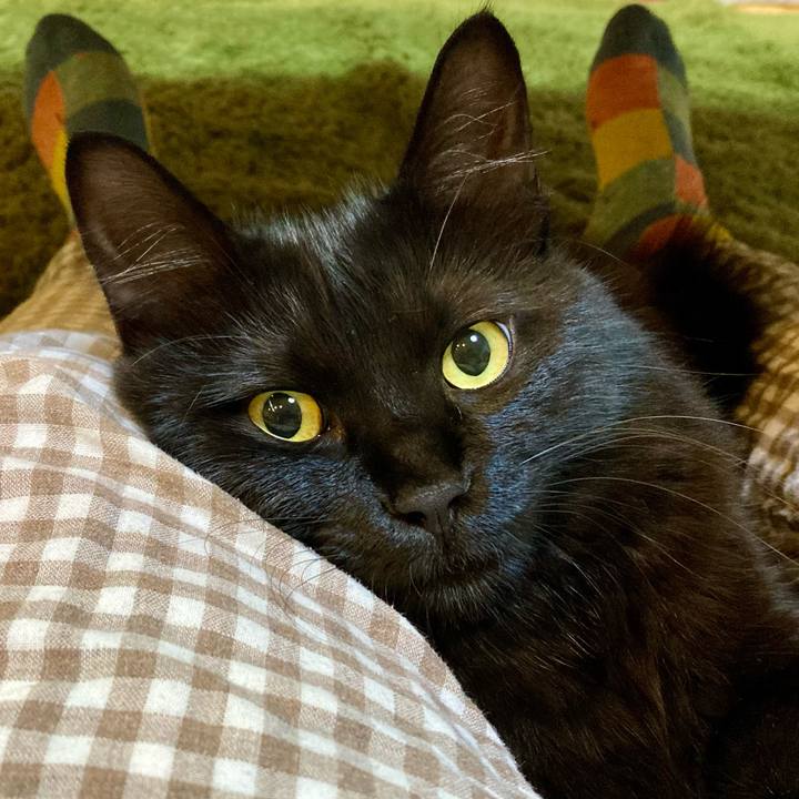 B6563c74 cd54 40b1 9862 fd68aff059a8 1728898248919