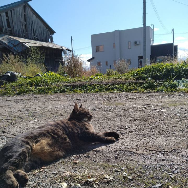 B6564b6e 03ae 435b 9995 faa6192f5e12 1667701403405