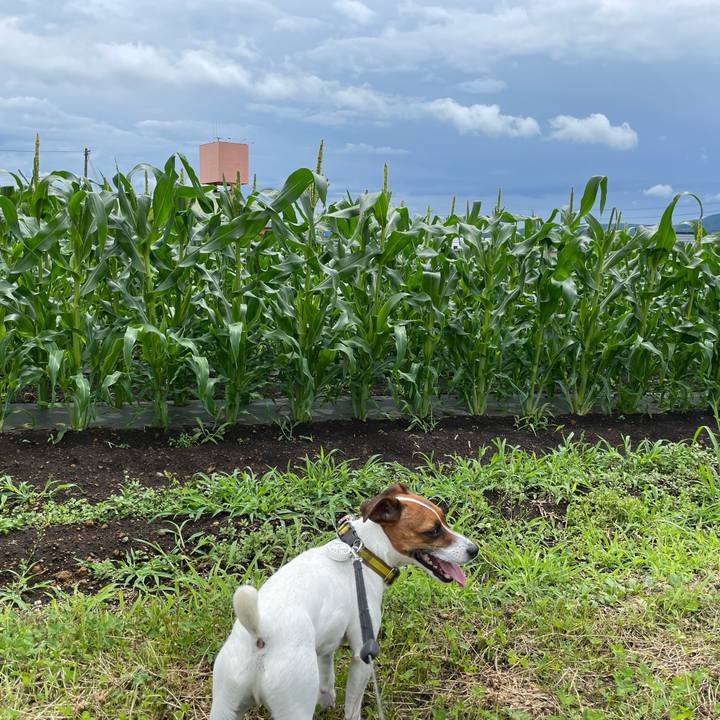 B656730d c9fe 46f3 a85e a72c2c6cd27a 1656909540973