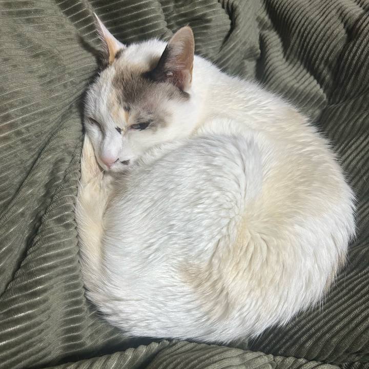 B6567e0f 2f6c 48c0 b476 f848b4450a86 1769993074612