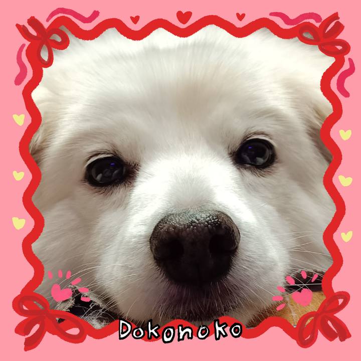 B656e7f3 b200 4ff3 8d80 30687fcc0cc3 1707138445293