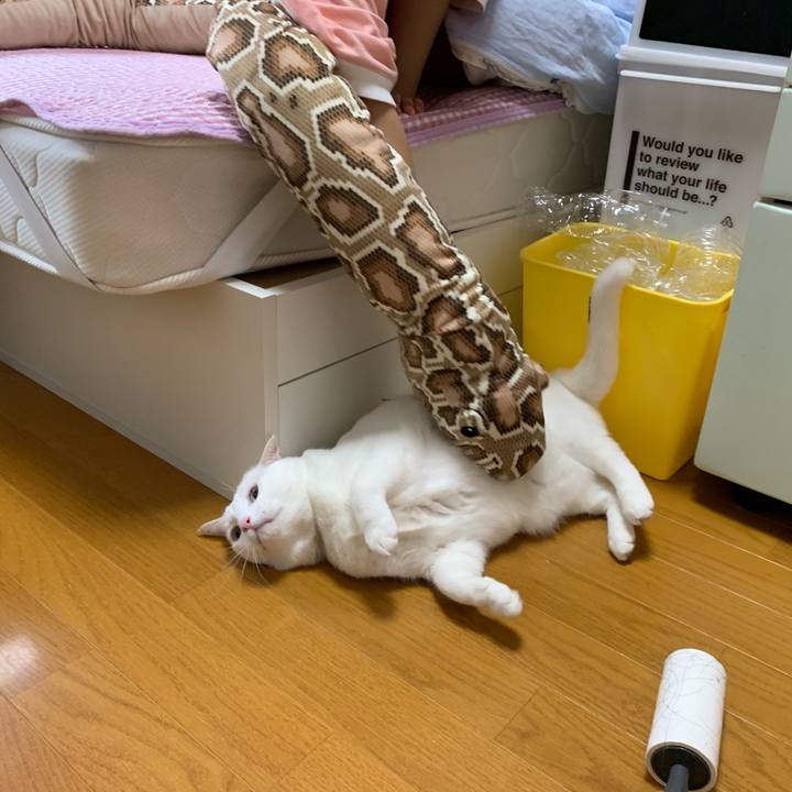 B6571c08 4b61 4df9 8ec9 2ea0eea1d327 1595757268386