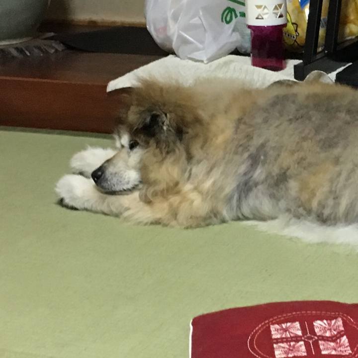 B6572303 7d15 4d3a a6f4 ba14a489d510 1554631252397