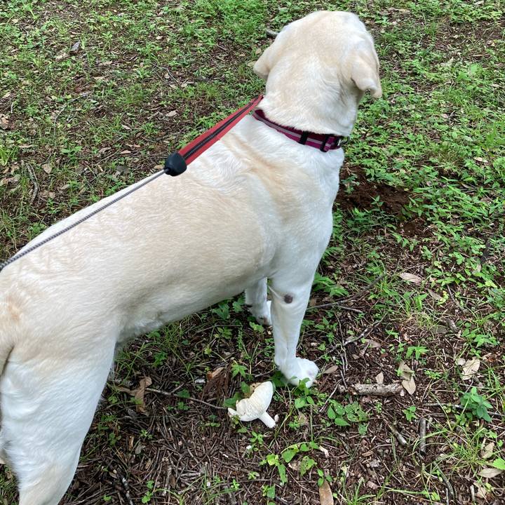 B6572e19 1c29 4a6c 8692 42d28dbb26ca 1721434818512