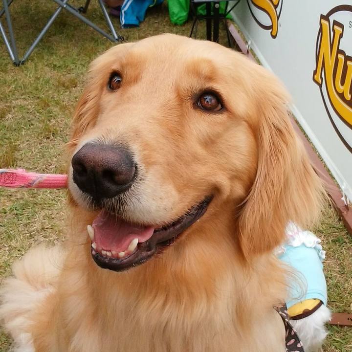 B657399e abcc 488a af3c 3238ee333c70 1585525140991