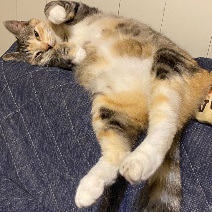 B6576c62 9898 4a19 81f9 3e88224f9745 1621686196392