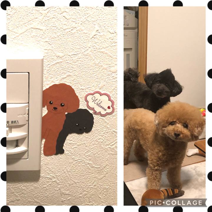 B6576ec0 9d0b 4cf1 9998 f9a277542f22 1617111244135